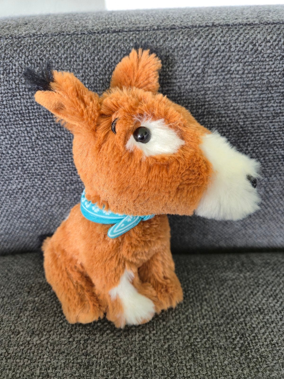 Knuffel Pim (van Fien&Teun), Ophalen of Verzenden, Zo goed als nieuw, Overige typen