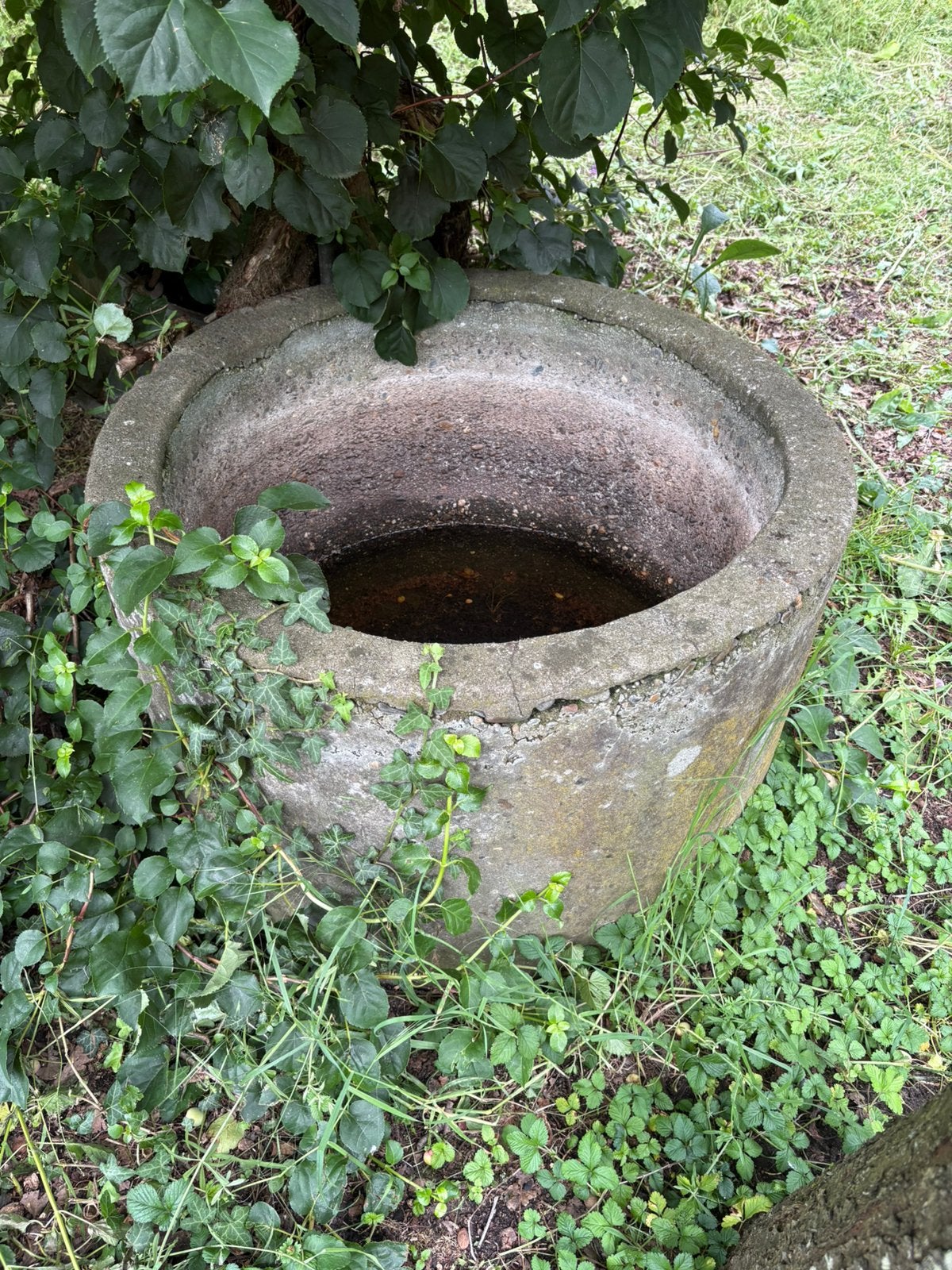 Betonnen put / drinkbak vee, Ophalen, Gebruikt, Minder dan 30 cm, Rond
