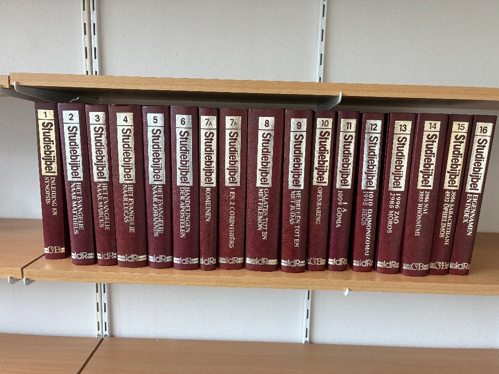 Studiebijbel Nieuwe Testament (serie uitg. In de Ruimte), Ophalen of Verzenden, Gelezen, Diverse auteurs