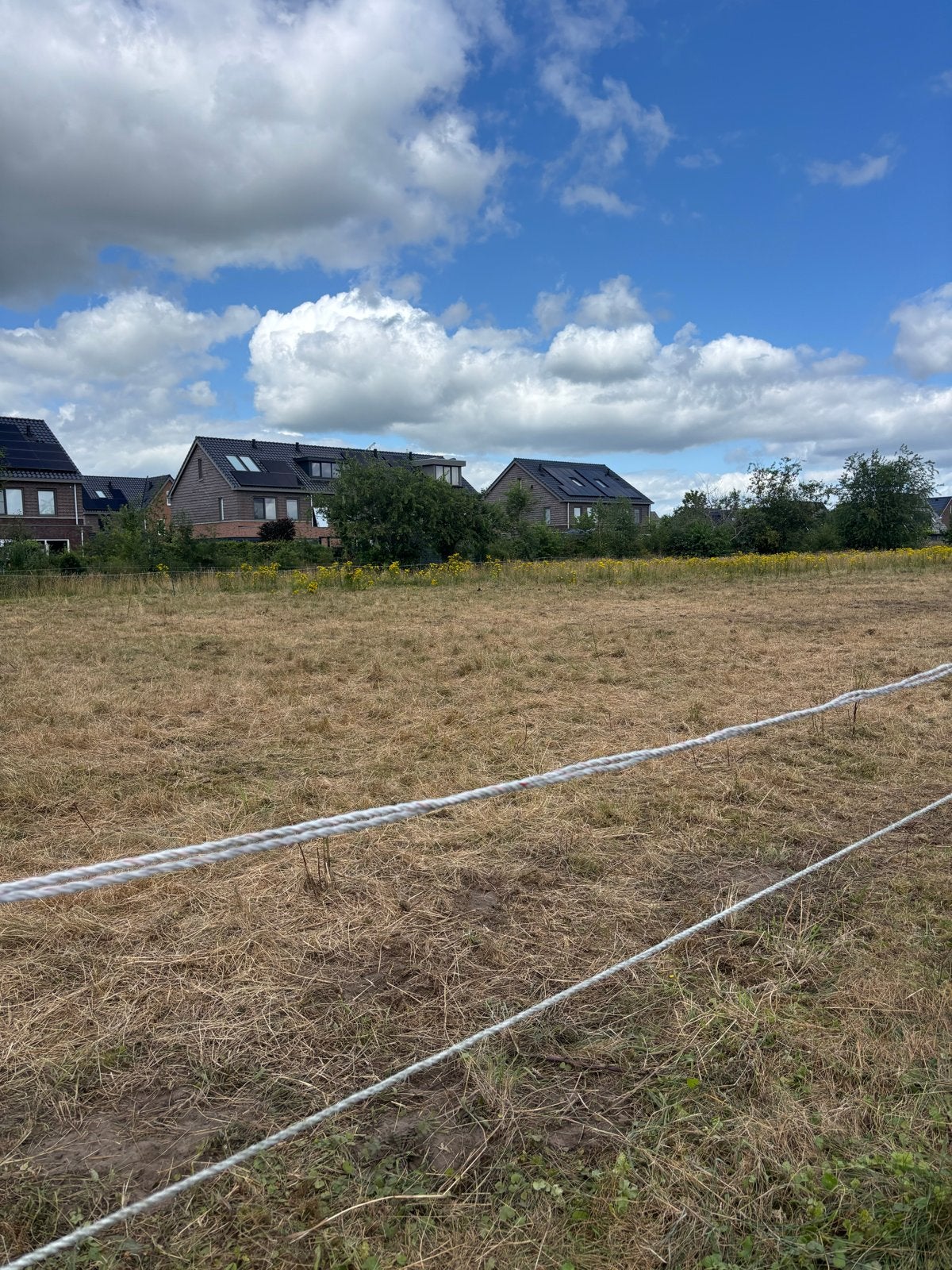 Pensionstalling/weidegang, Dieren en Toebehoren, Stalling en Weidegang, Weidegang