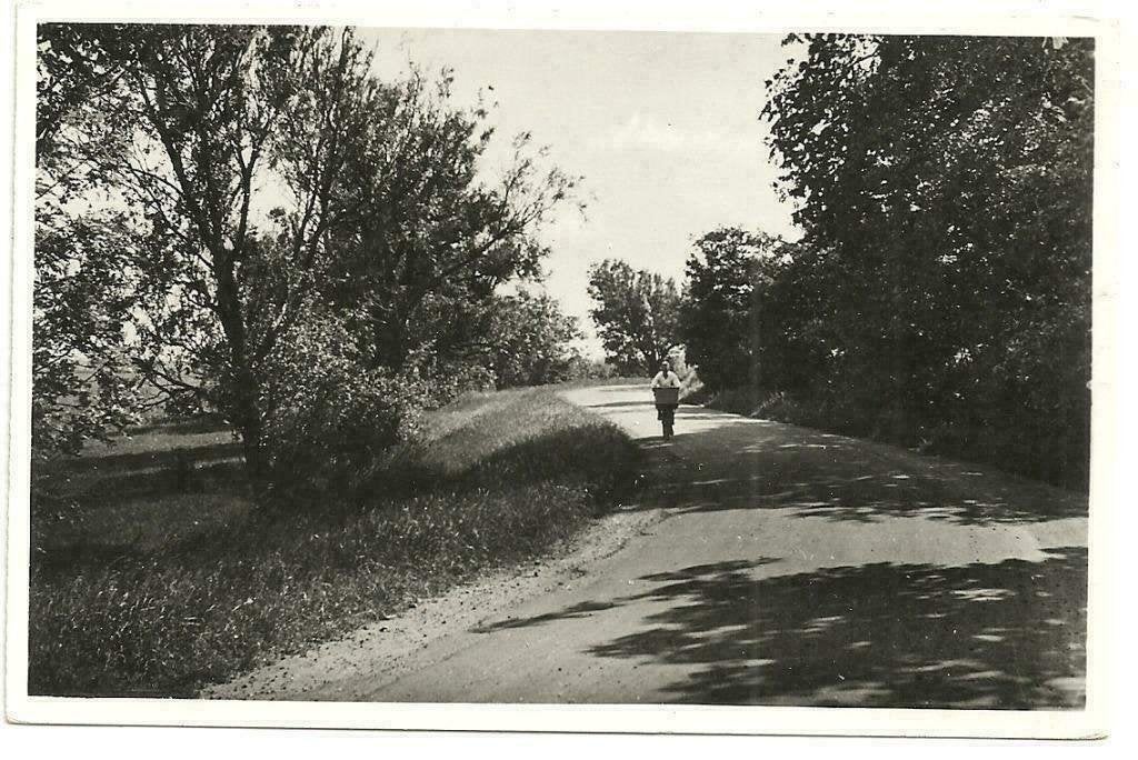 AK Texel - Op de Boomendijk bij De Waal, Verzenden, 1940 tot 1960, Ongelopen, Waddeneilanden