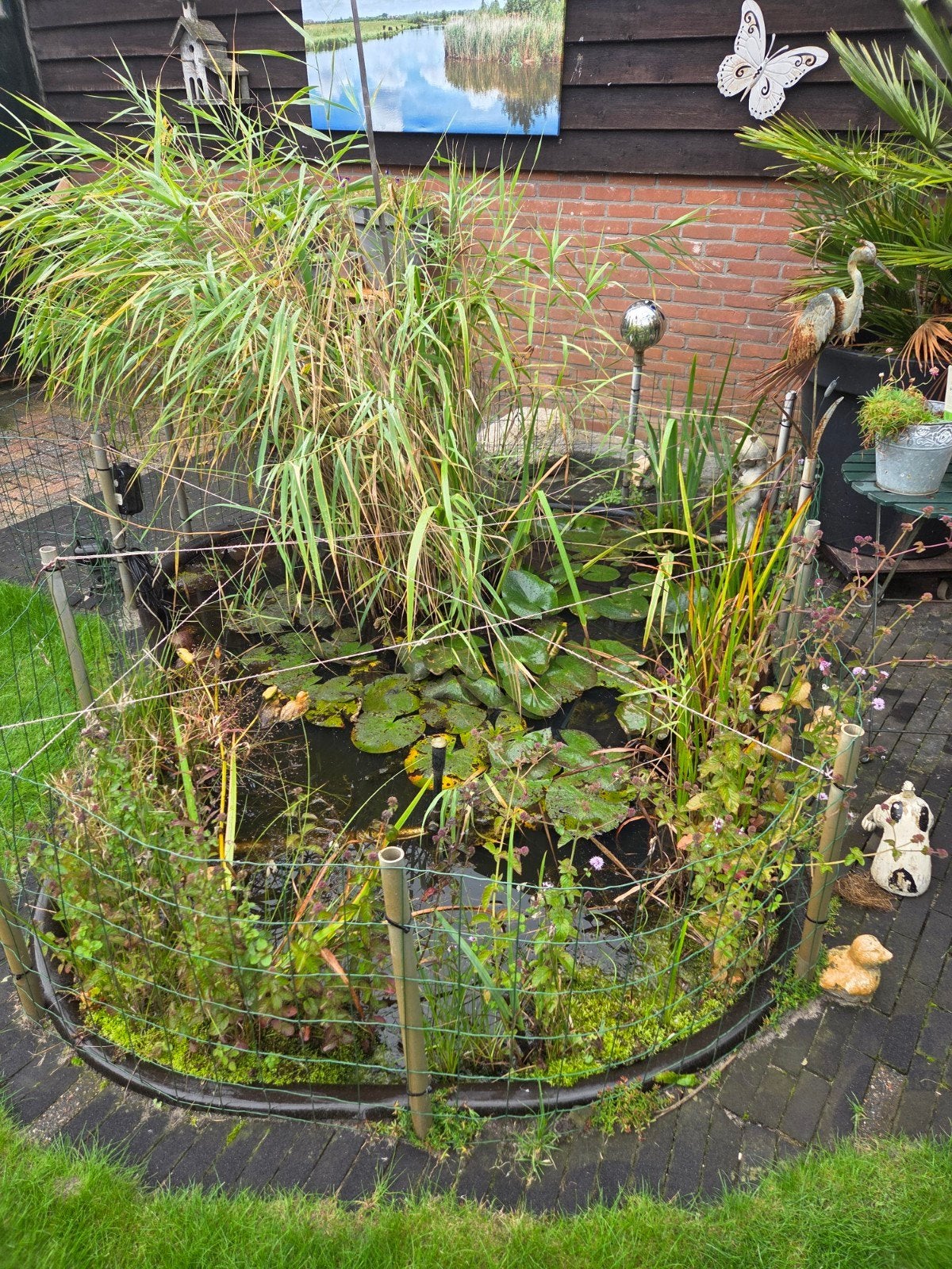 vijverbak met goudvissen., Tuin en Terras, Ophalen, Gebruikt
