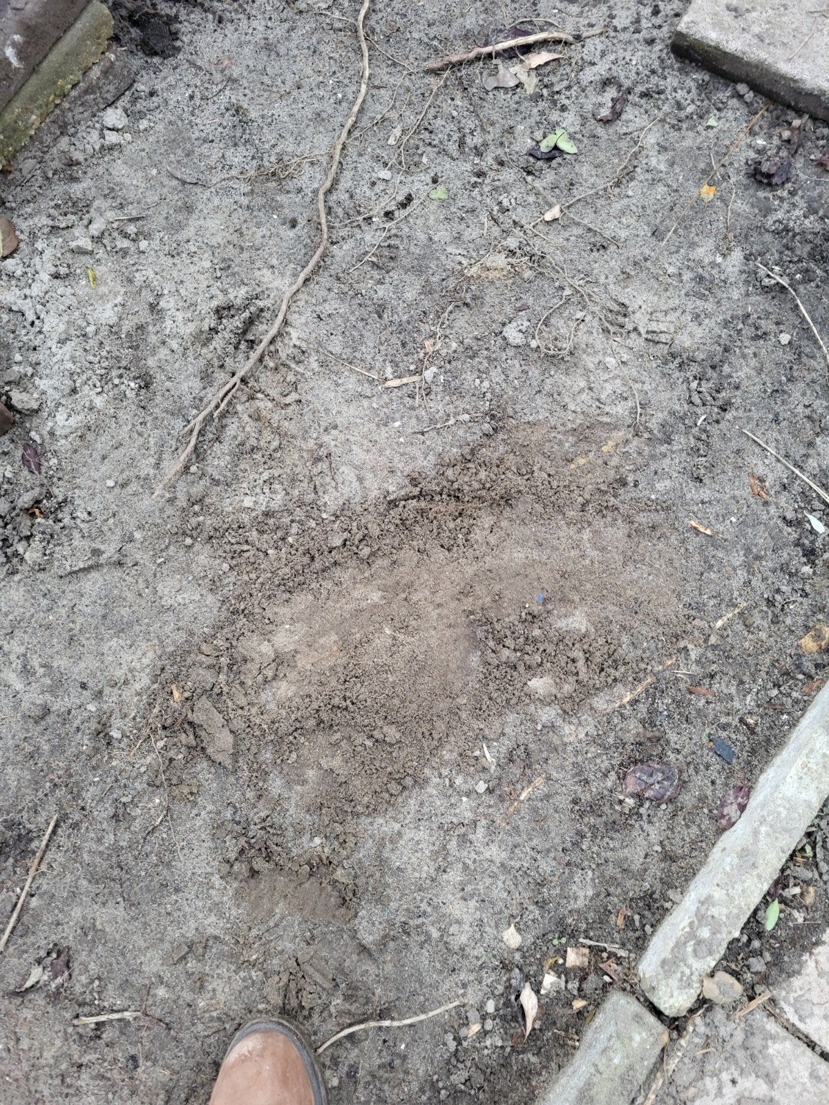 gratis zand, Tuin en Terras, Ophalen, Ophoogzand