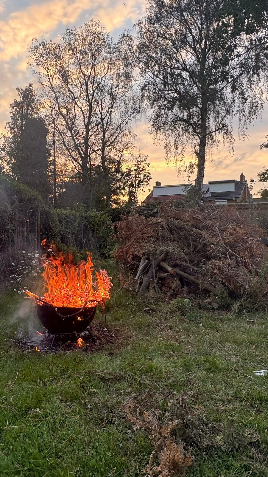Gratis Stookhout / brandhout, 3 tot 6 m³, Ophalen