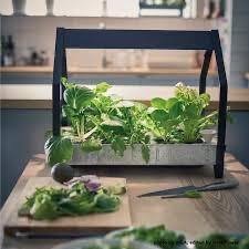Ikea KRYDDA/VÄXER Kweekkas met kweekbak - Groot, Tuin en Terras, Kweekspullen, Ophalen of Verzenden, Zo goed als nieuw, Kweekkast