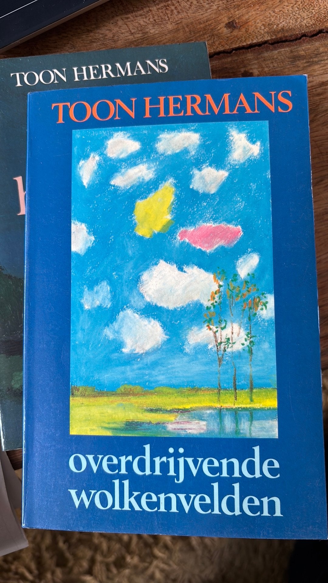 T hermans overdrijvende wolkenvelden, Ophalen of Verzenden, Zo goed als nieuw