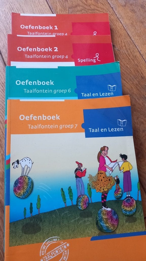 Diverse schoolboeken: Taal, Spelling, Engels, VMBO, Diverse auteurs, Ophalen of Verzenden, Zo goed als nieuw