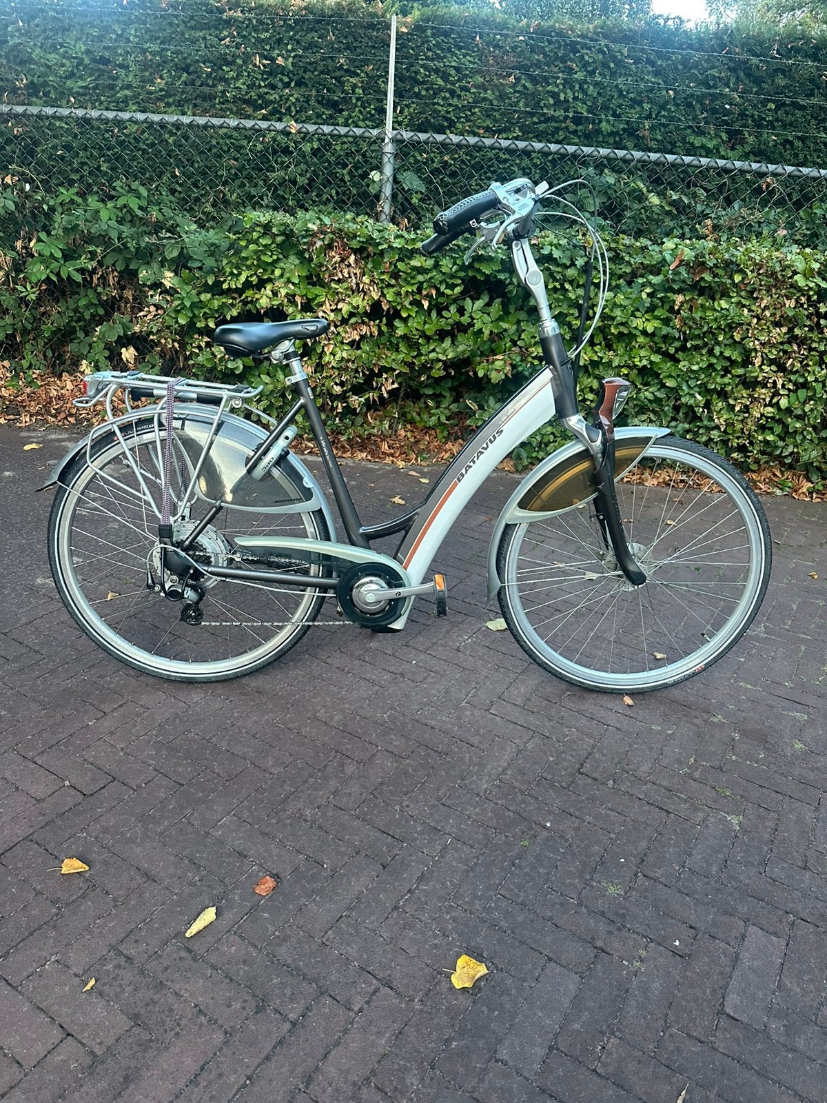 Foto 5 van Batavus elektrische fiets met 2000 totale kilometerstand