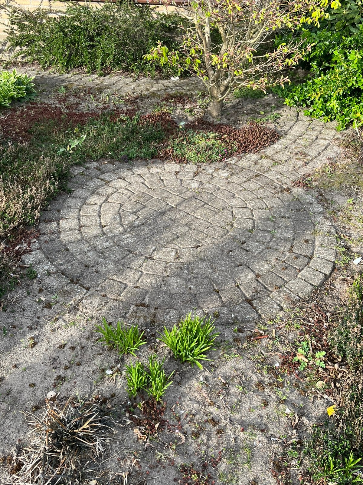 Paadje en cirkel GRATIS+20,- kado, Ophalen, Zo goed als nieuw, Beton, Klinkers