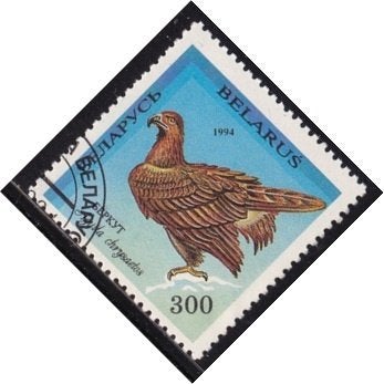 4092 - Belarus michel 69 gestempeld , Steenarend, Verzenden, Overige landen, Gestempeld