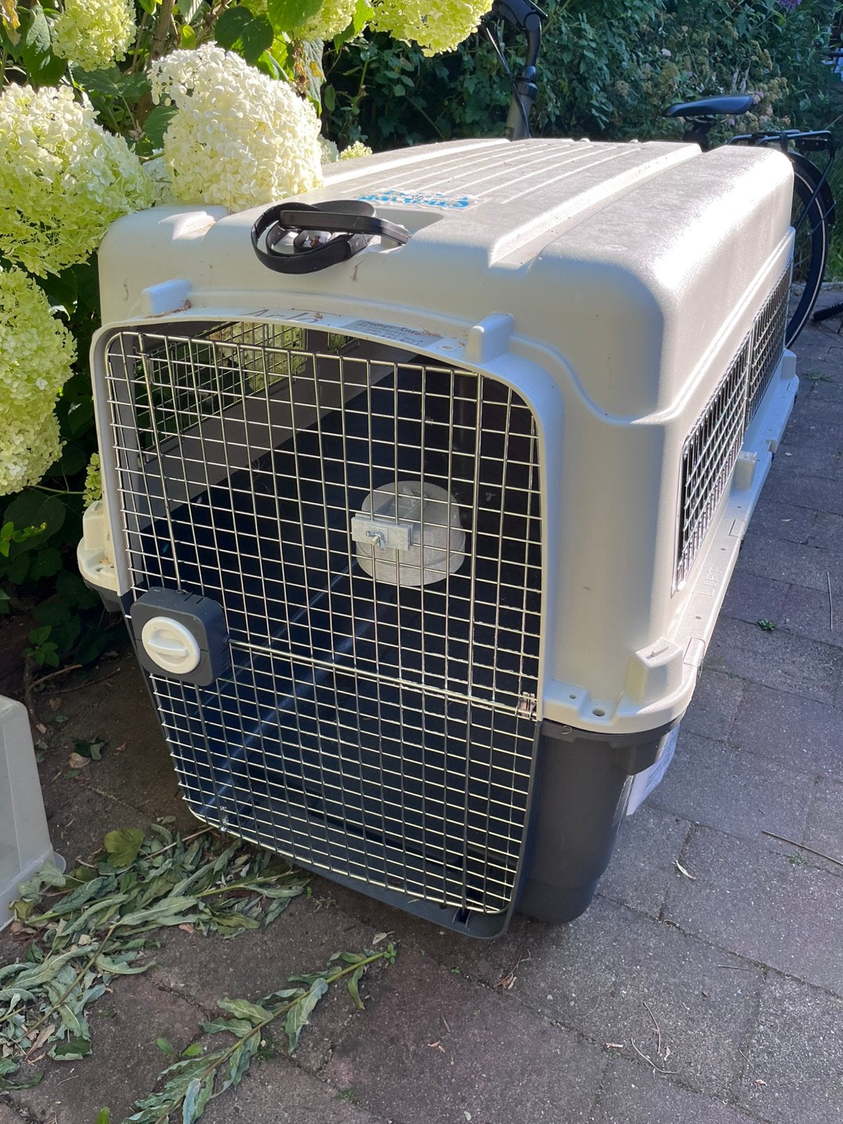 SportPet IATA Hond Transportbox -Maat XXX-Large, Dieren en Toebehoren, Transportboxen, Ophalen, Gebruikt