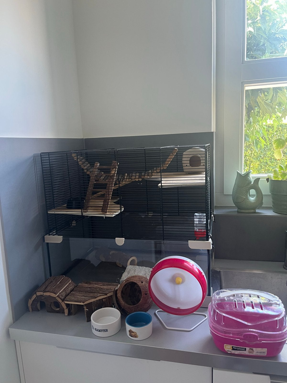 Mooie complete glazen hamsterkooi met veel accessoires, Dieren en Toebehoren, Kooi, Gebruikt, Minder dan 75 cm, Muis