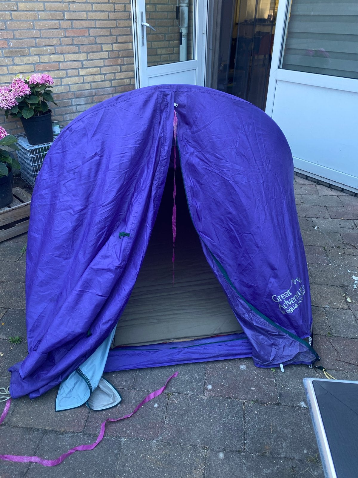 Leuke paarse tent van Great Adventure, 30 jaar oud, Caravans en Kamperen, Tenten, Ophalen, Gebruikt, Tot en met 2