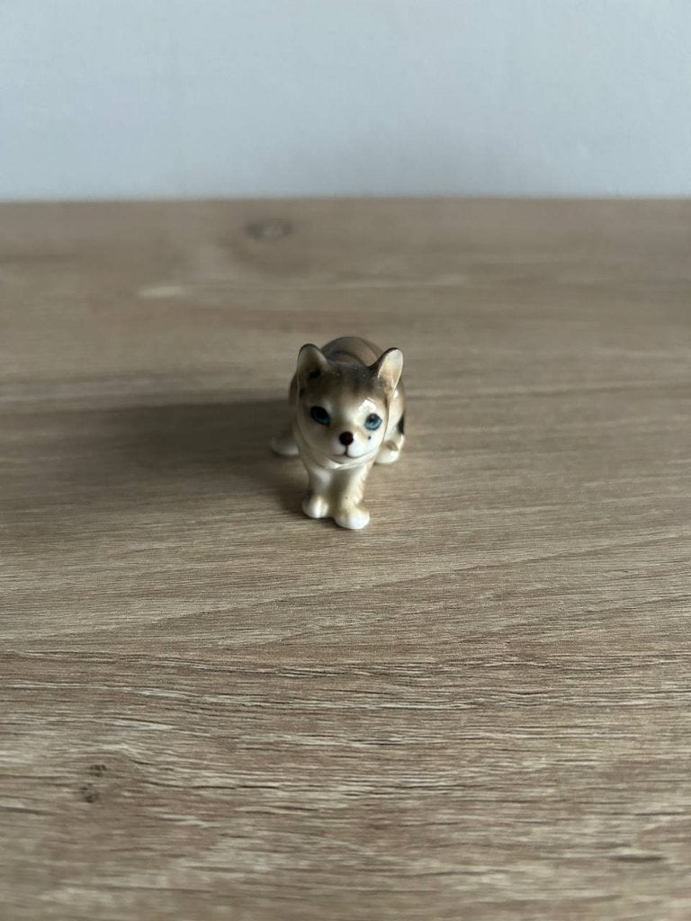 Kat 1 keramiek, Ophalen, Gebruikt, Dier