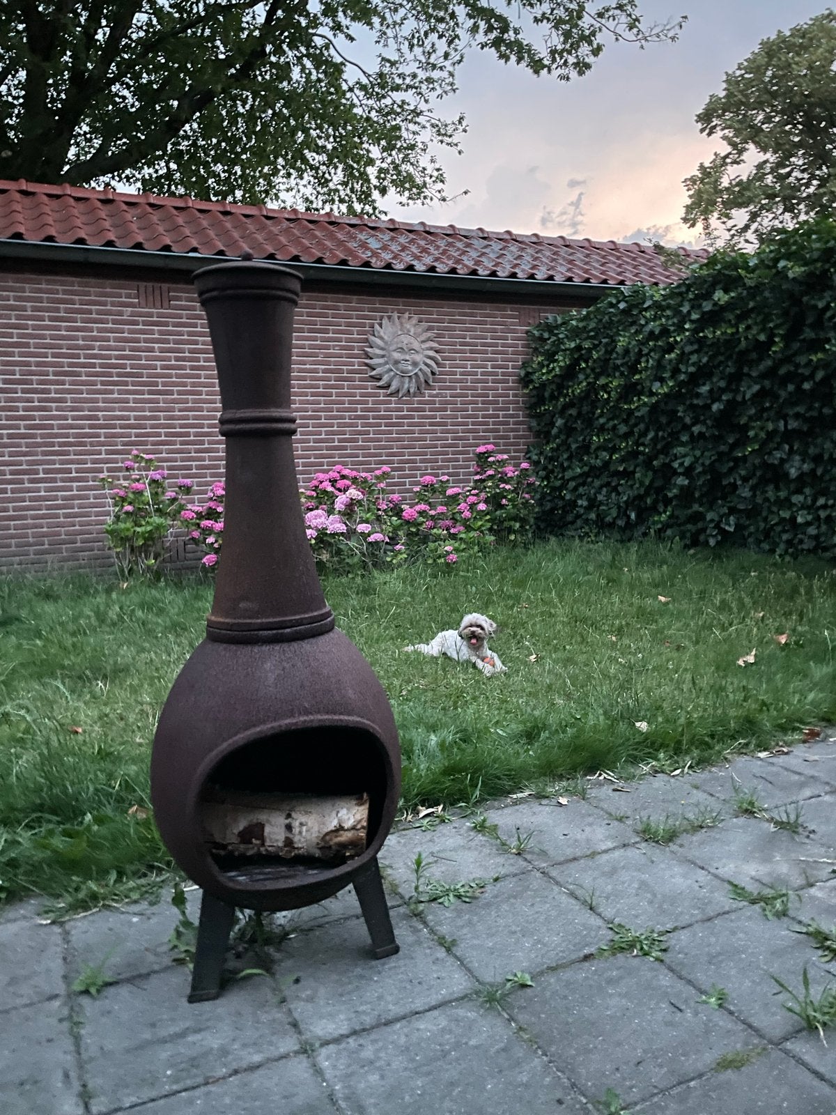 Gietijzeren openhaard - Terrashaard, Tuin en Terras, Ophalen, Gebruikt, Vuurkorf