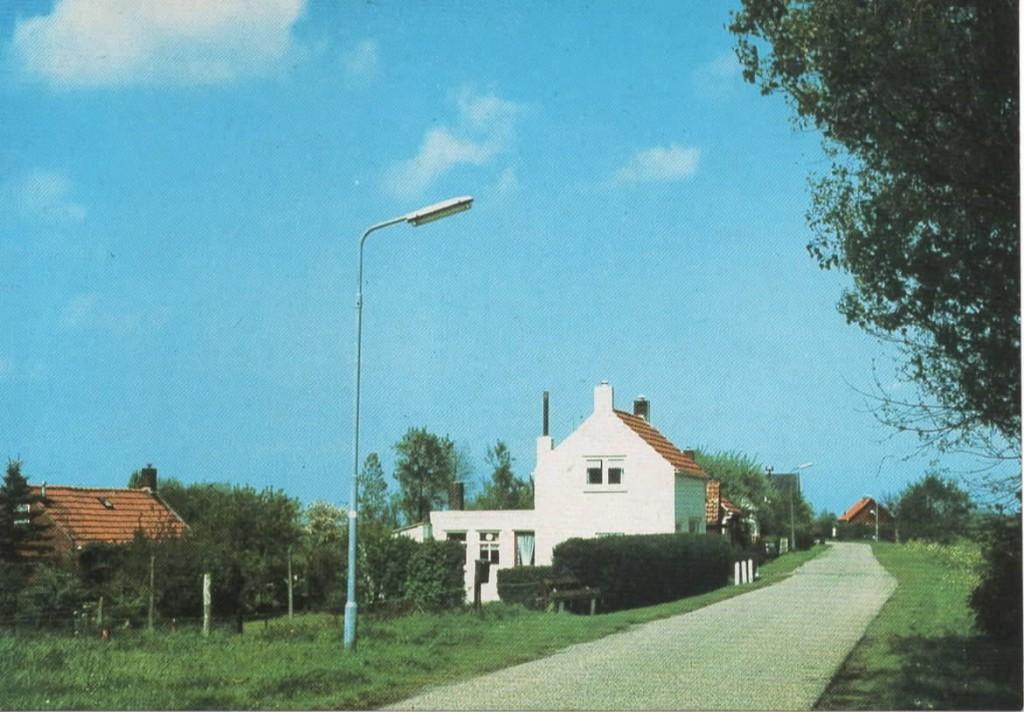 Ansichtkaart Nieuwvliet, Mettenyedijk, Ophalen of Verzenden, 1980 tot heden, Ongelopen, Zeeland