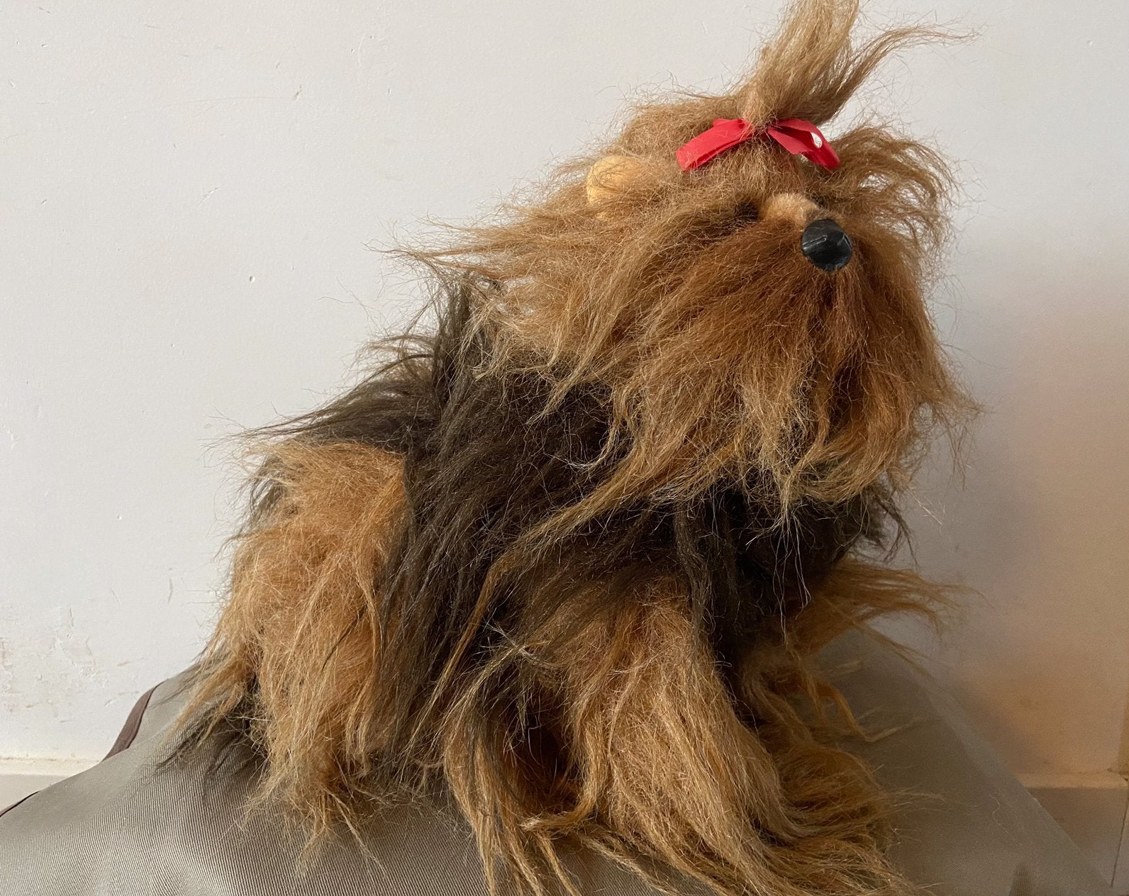 Steiff Yorkshire terrier Taffy, 4192/25, Ophalen of Verzenden, Zo goed als nieuw, Overige typen, Steiff