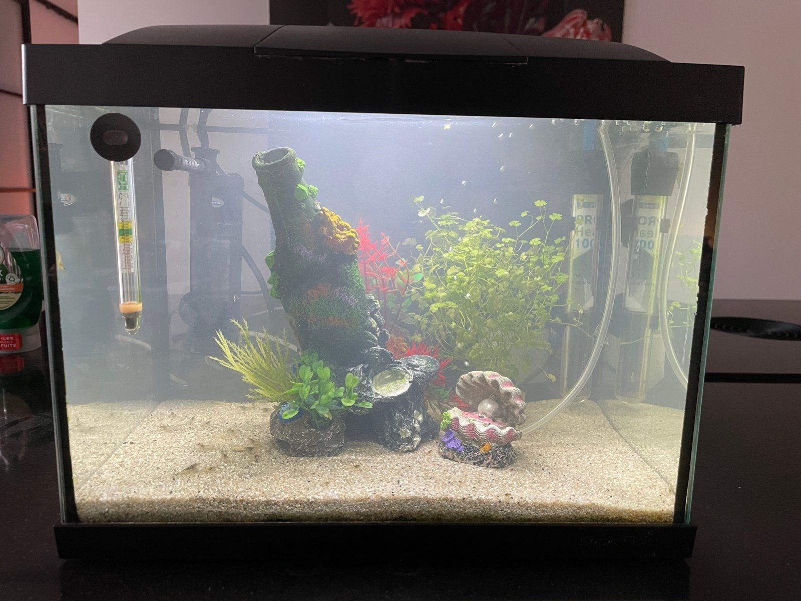Aquarium 20 liter, Ophalen, Inclusief vissen, Juwel, Gevuld zoetwateraquarium