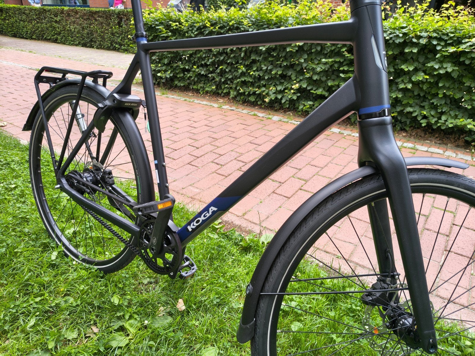 Koga F3 8.0 | Alfine 8 | Gates riem | H63 XXL | €200 Korting, 28 inch, 10 tot 15 versnellingen, Koga, Nieuw