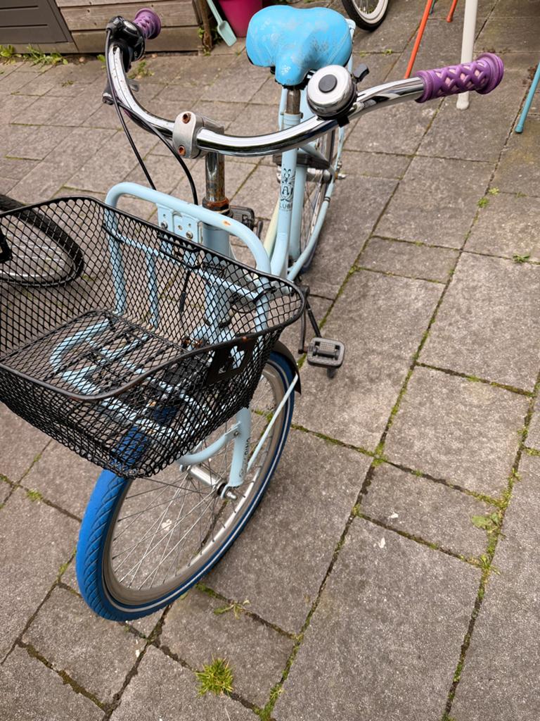 Alpina Bike, Ophalen, Zo goed als nieuw, 20 inch of meer