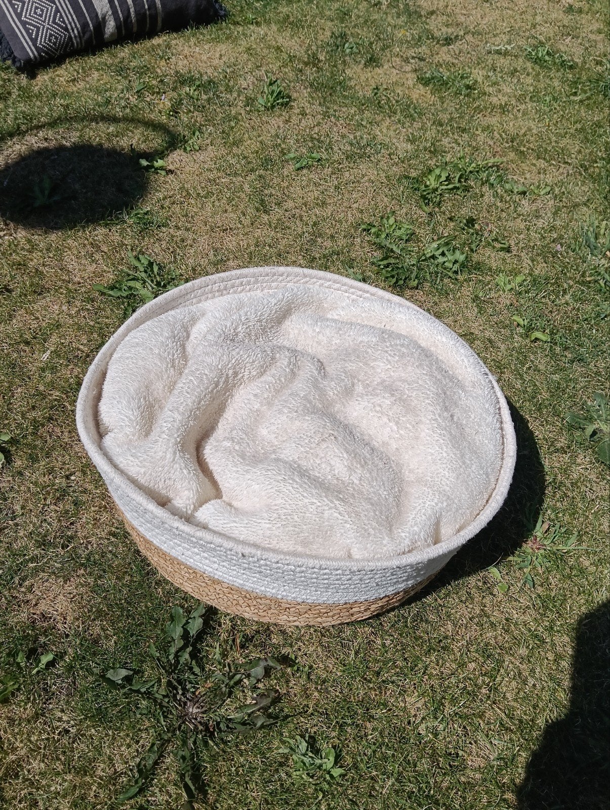 kattenmand, Ophalen