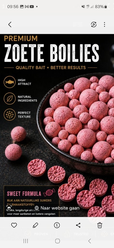 hh bollen boilies karperaas bolies, Watersport en Boten, Ophalen of Verzenden, Nieuw, Overige typen