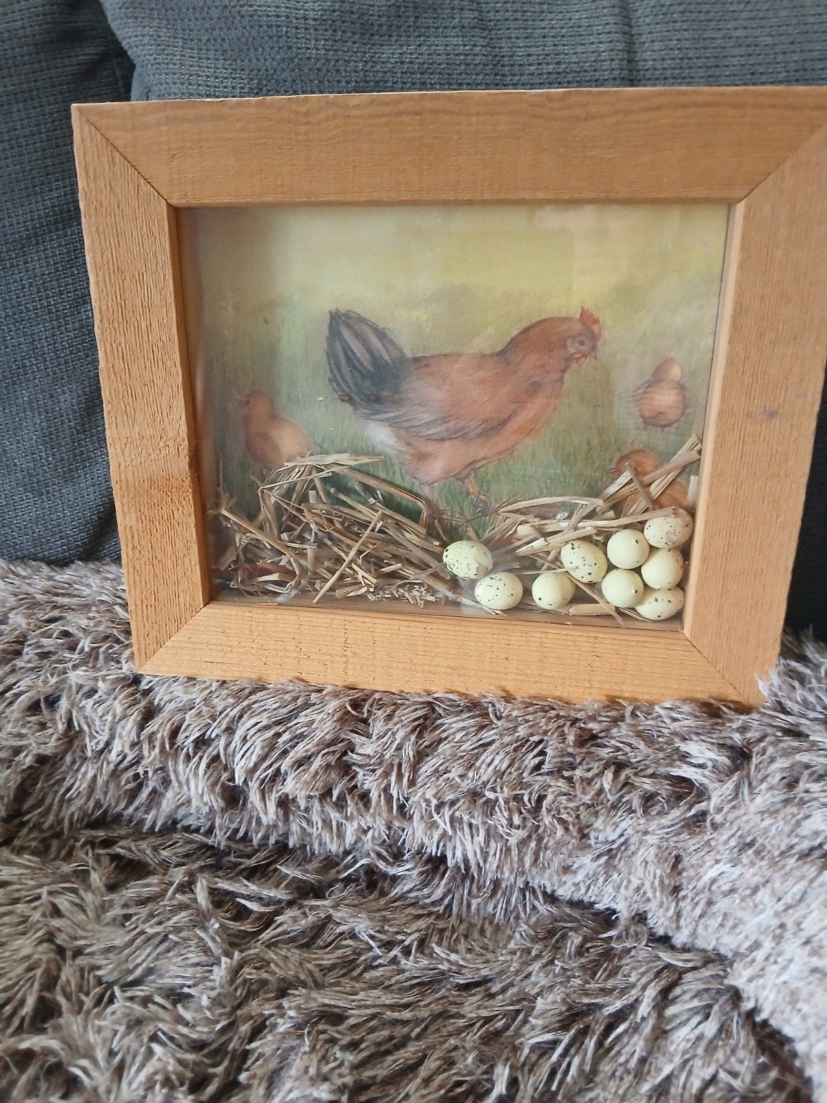 Kip achter glas, Ophalen of Verzenden