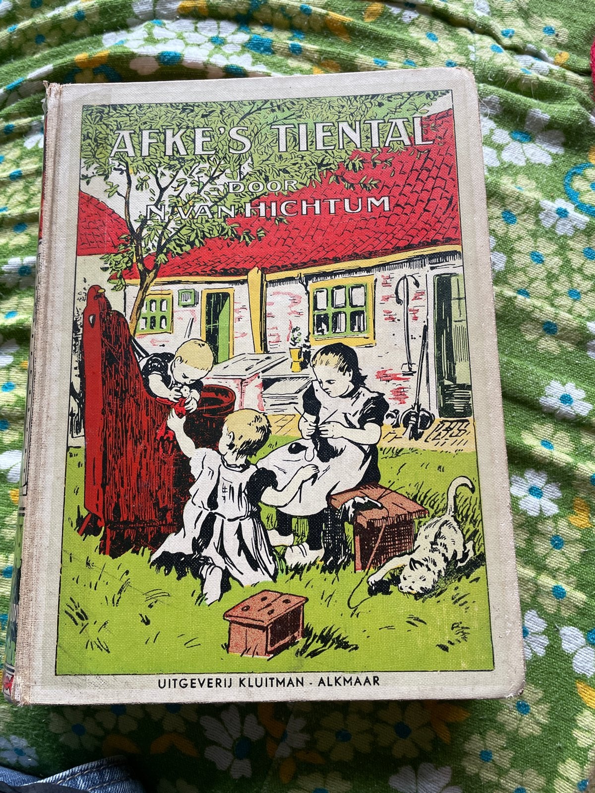 Afke's Tiental - N. van Hichtum (Vintage Kinderboek), Ophalen of Verzenden, Gelezen, Fictie algemeen