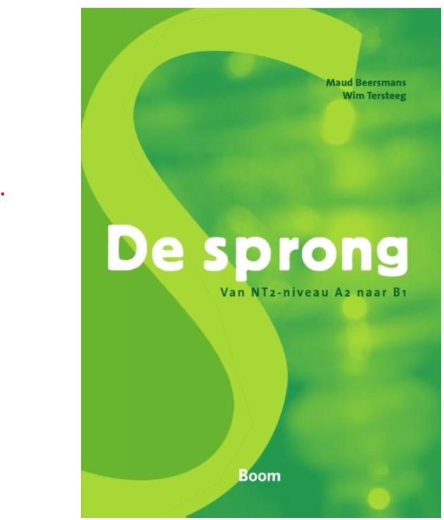 De sprong Van NT2 - niveau A2 naar B1, Ophalen of Verzenden, Zo goed als nieuw