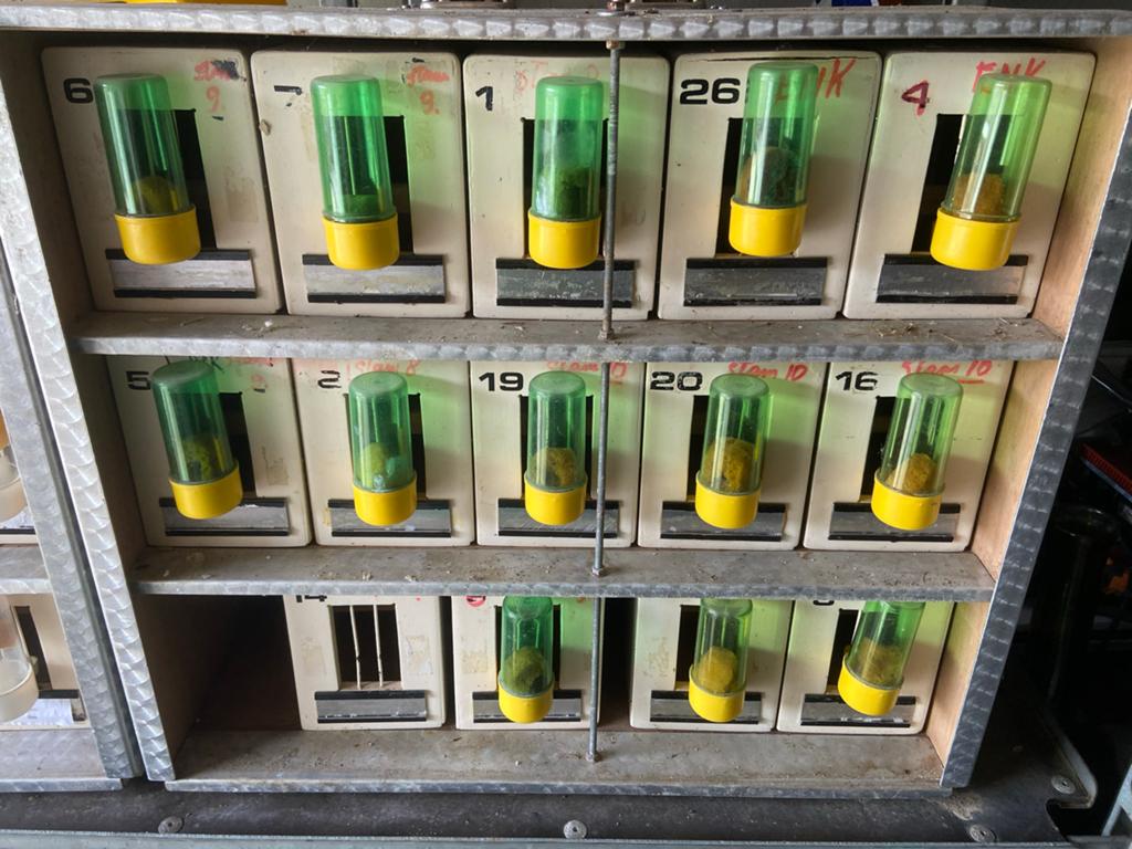 Vogeltransportkoffers/kist voor kleine vogels, Ophalen, Zo goed als nieuw