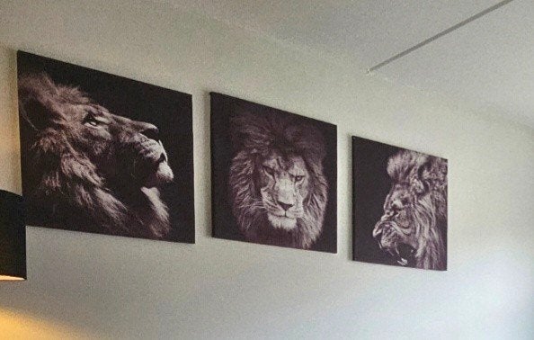 Posters, Ophalen, Gebruikt, Vierkant, Canvas of Doek
