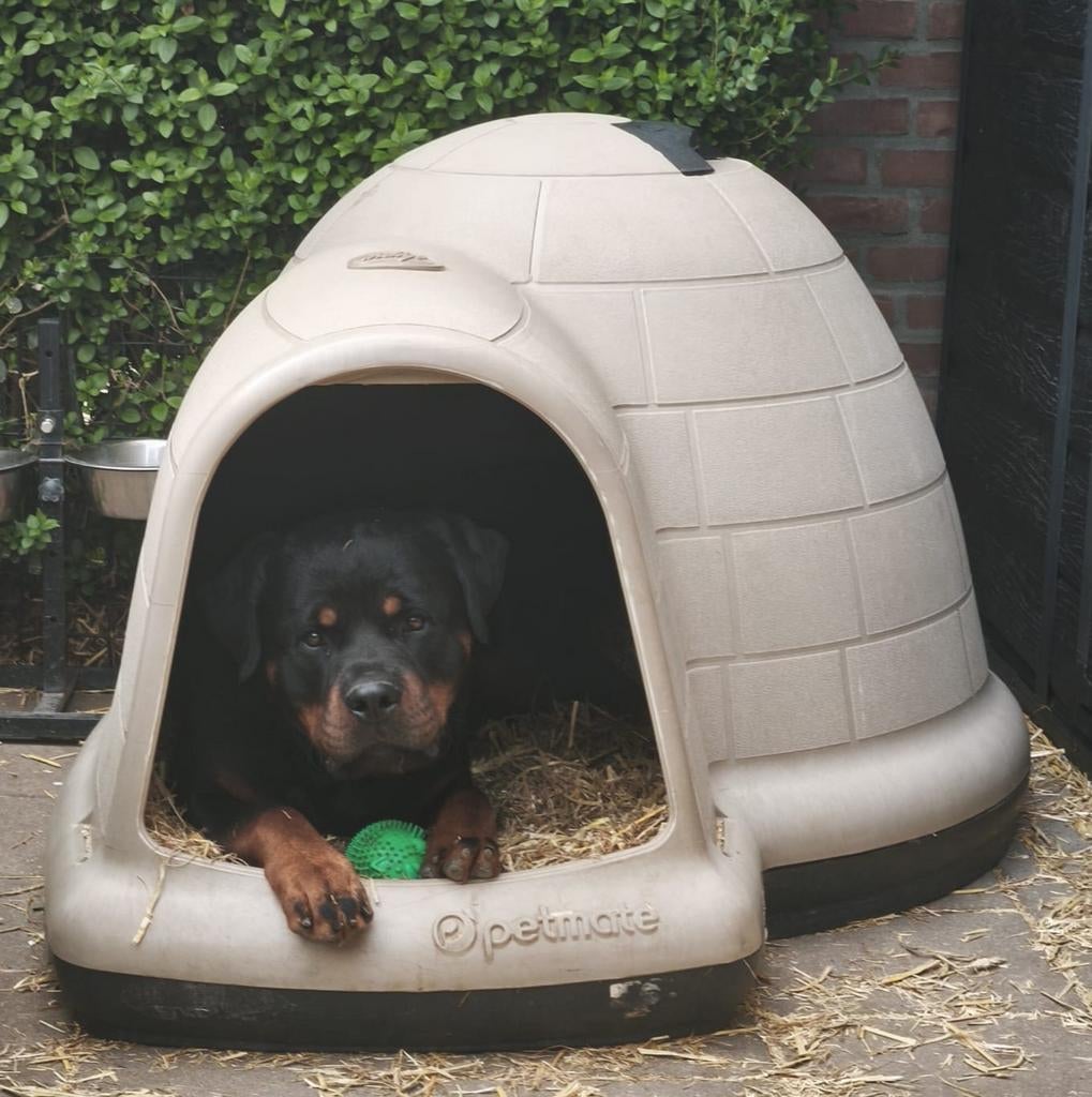 Petmate indigo hondenhok, Ophalen of Verzenden