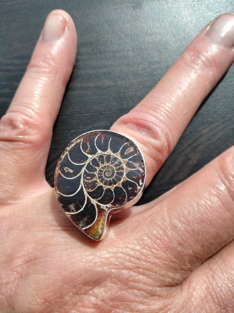 Ammoniet ring maat 18,25, Sieraden, Tassen en Uiterlijk, Ringen, 18 tot 19, Bruin, Verzenden, Nieuw