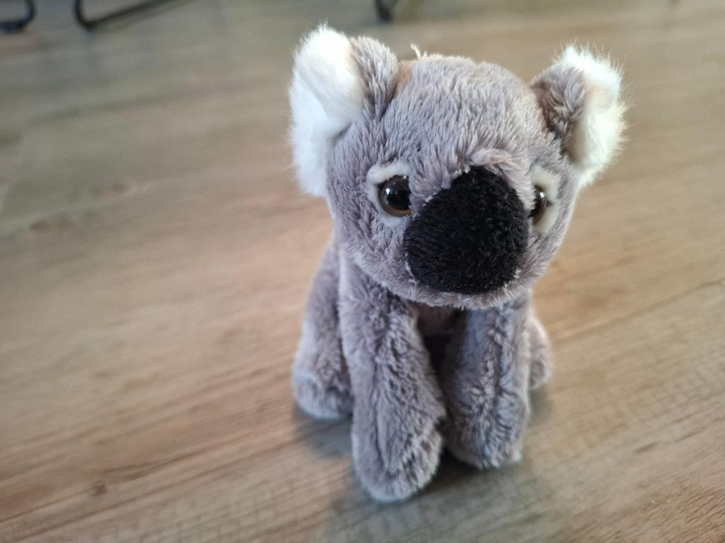Knuffel - Koala, Ophalen of Verzenden, Gebruikt, Overige typen