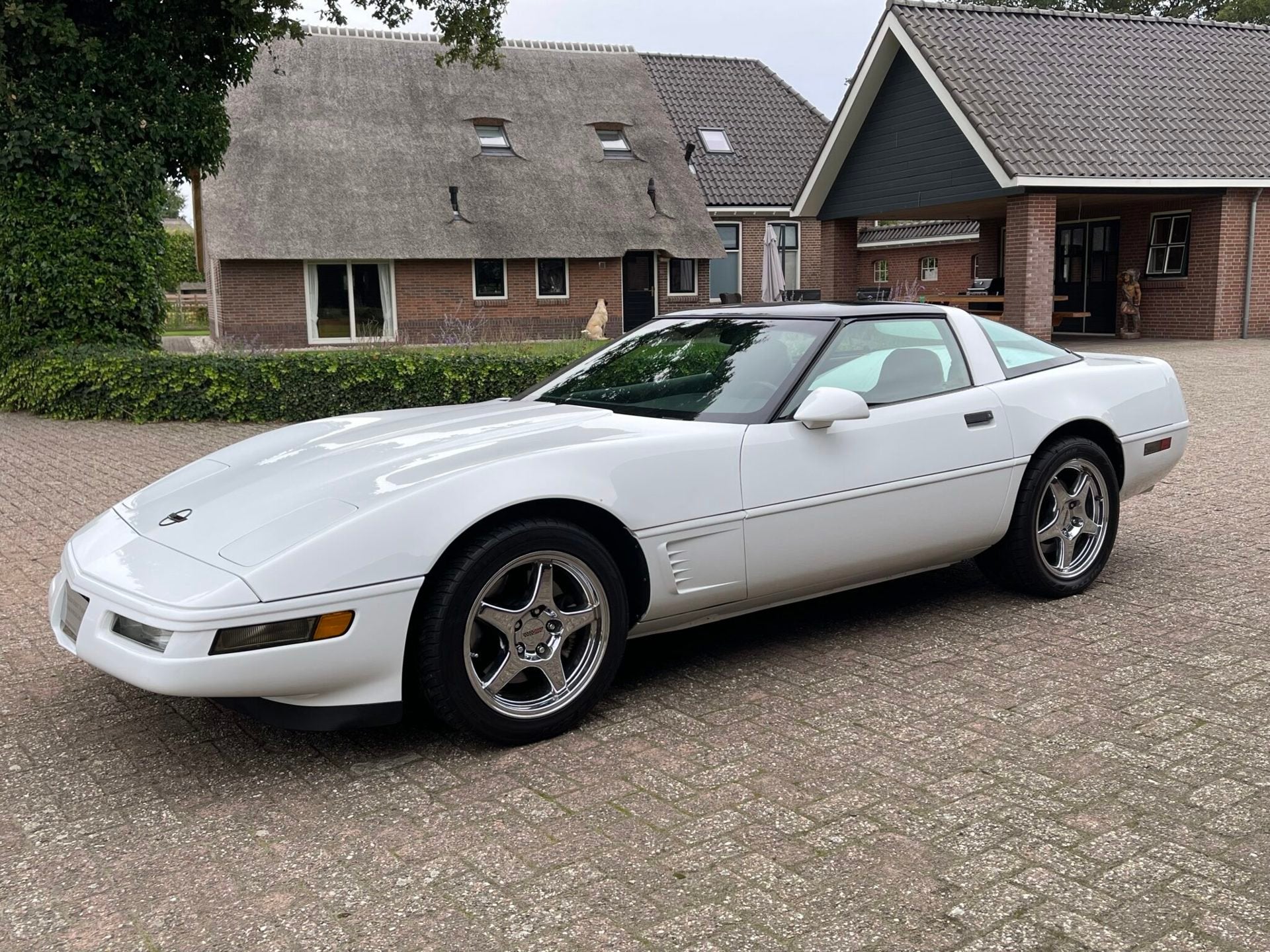 Chevrolet USA Corvette C4 LT1 1996 , 53254 km NL-kenteken, foto 10