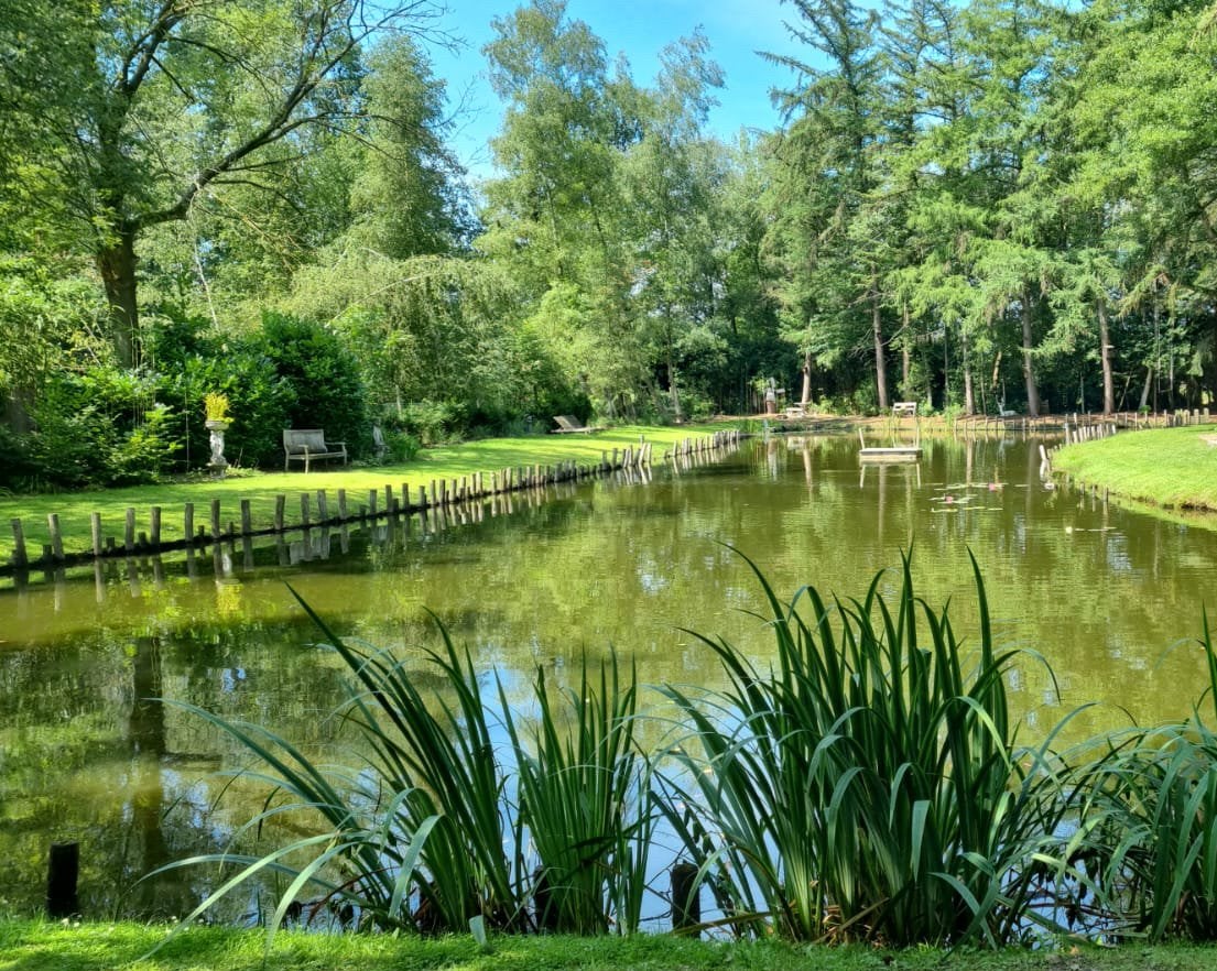 Vissen gezocht voor natuurvijver, Dieren en Toebehoren, Vissen | Vijvervissen