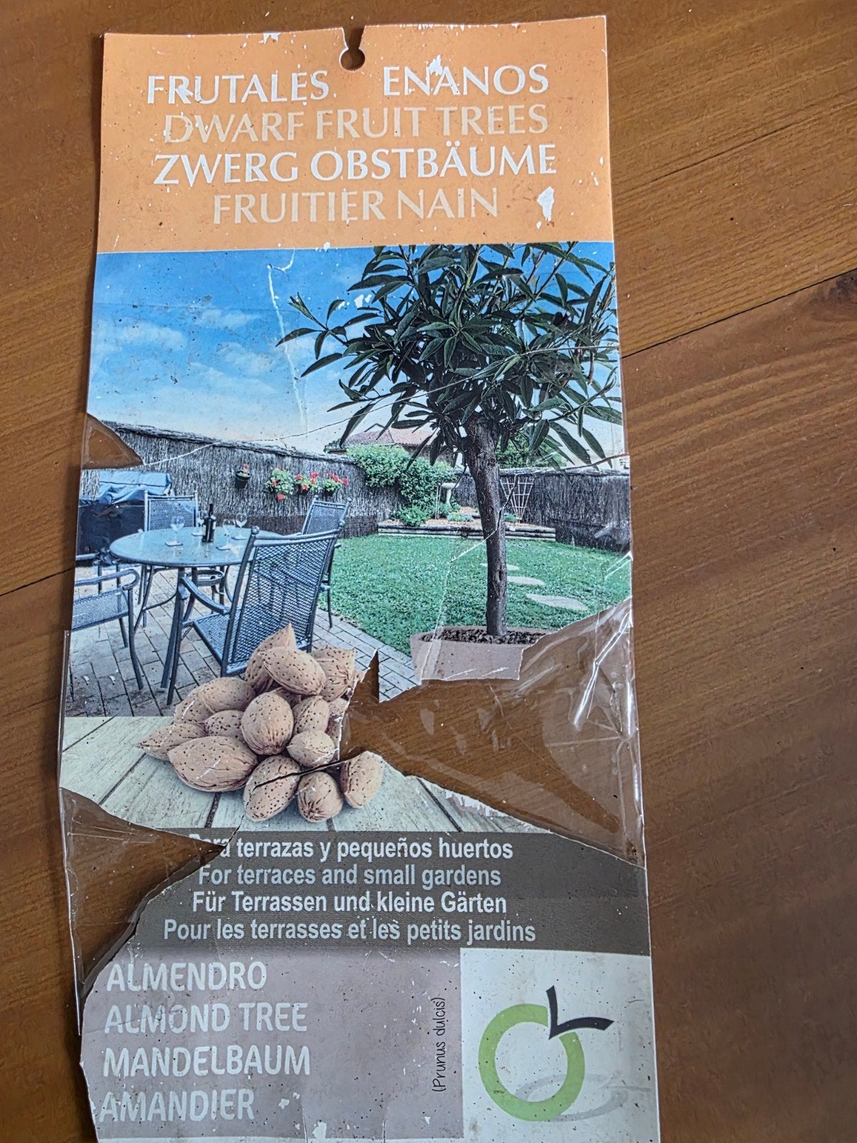Amandelboom (Prunus dulcis), Ophalen, Lente, Overige soorten, Volle zon