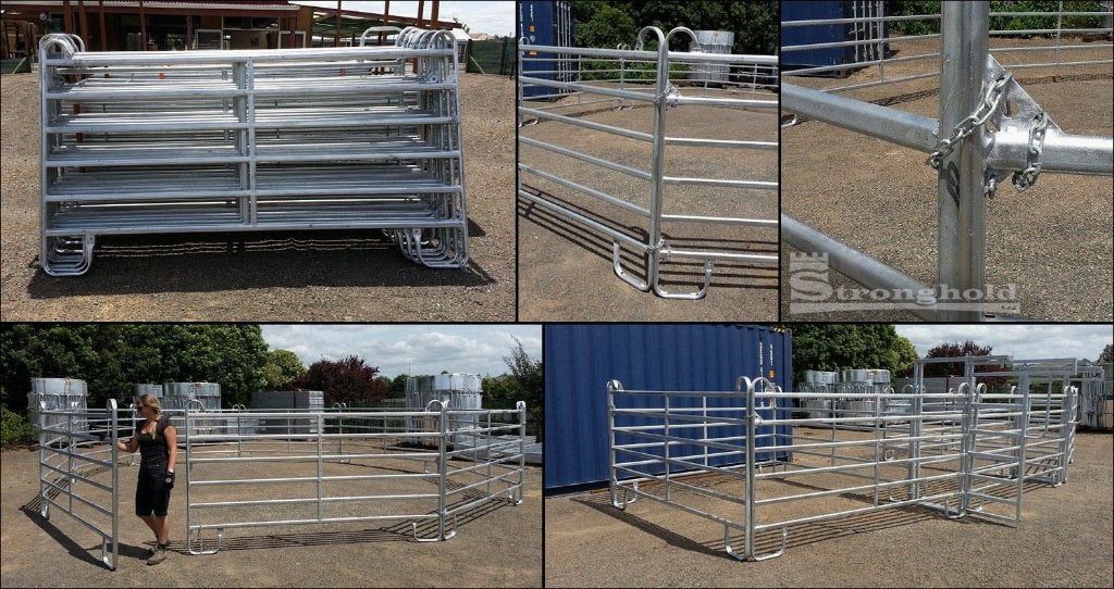 Roundpen weidepanelen, Weidegang