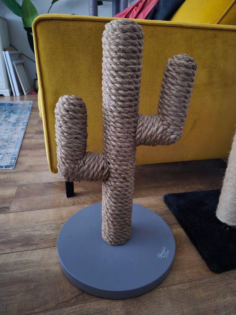 Katten krabpaal cactus Designed bij Lotte, Dieren en Toebehoren, Krabmeubelen, Ophalen of Verzenden, Nieuw, Krabpaal