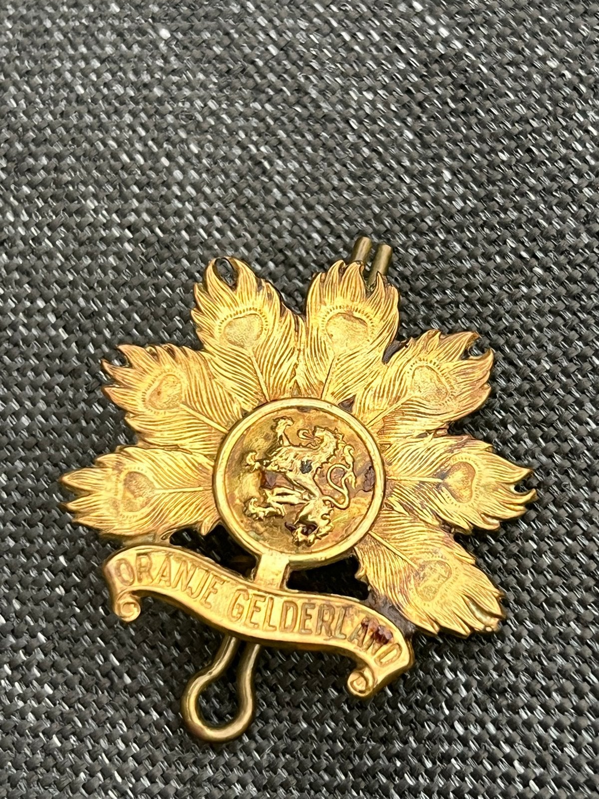 Vintage Speldje Oranje Gelderland Leeuw Pauwenveren, Ophalen of Verzenden, Gebruikt, Overige onderwerpen, Speldje of Pin