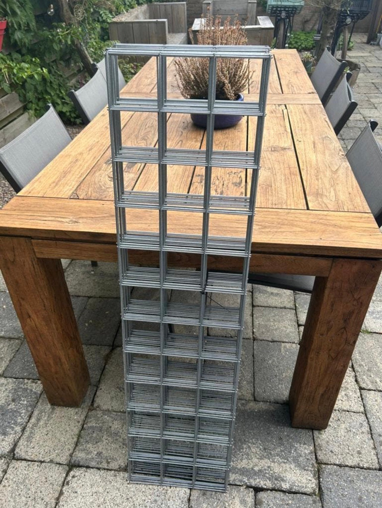 Stevig tomaten klimrek- Ondersteuning voor groei- 120x30, Ophalen, Eenjarig, Groenteplanten, Volle zon