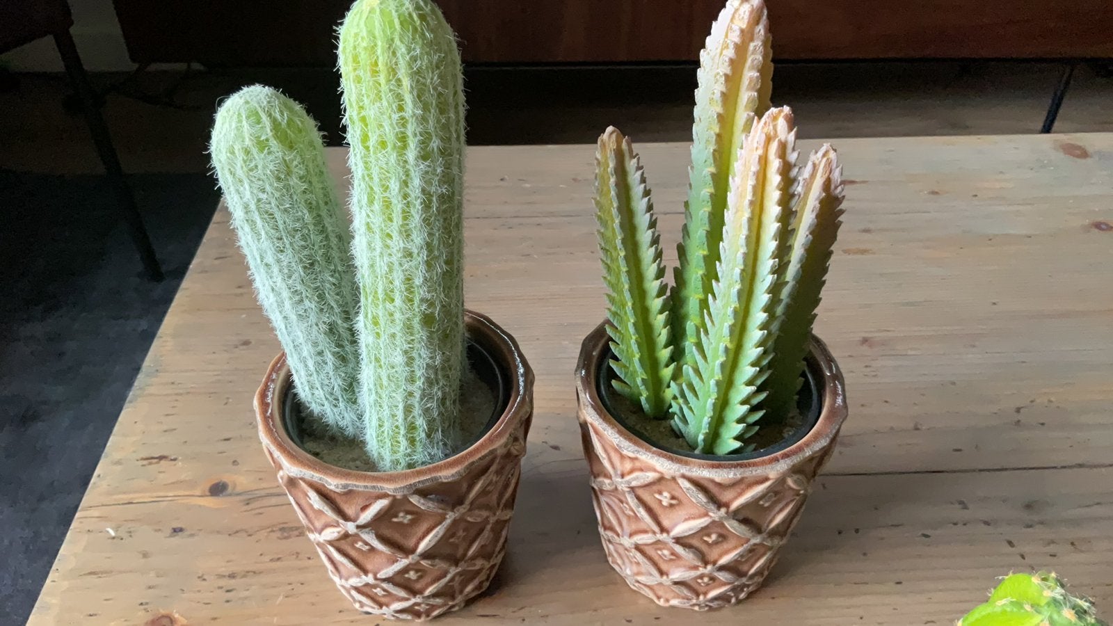 Kunst cactussen inclusief pot, Ophalen of Verzenden, Halfschaduw, Minder dan 100 cm