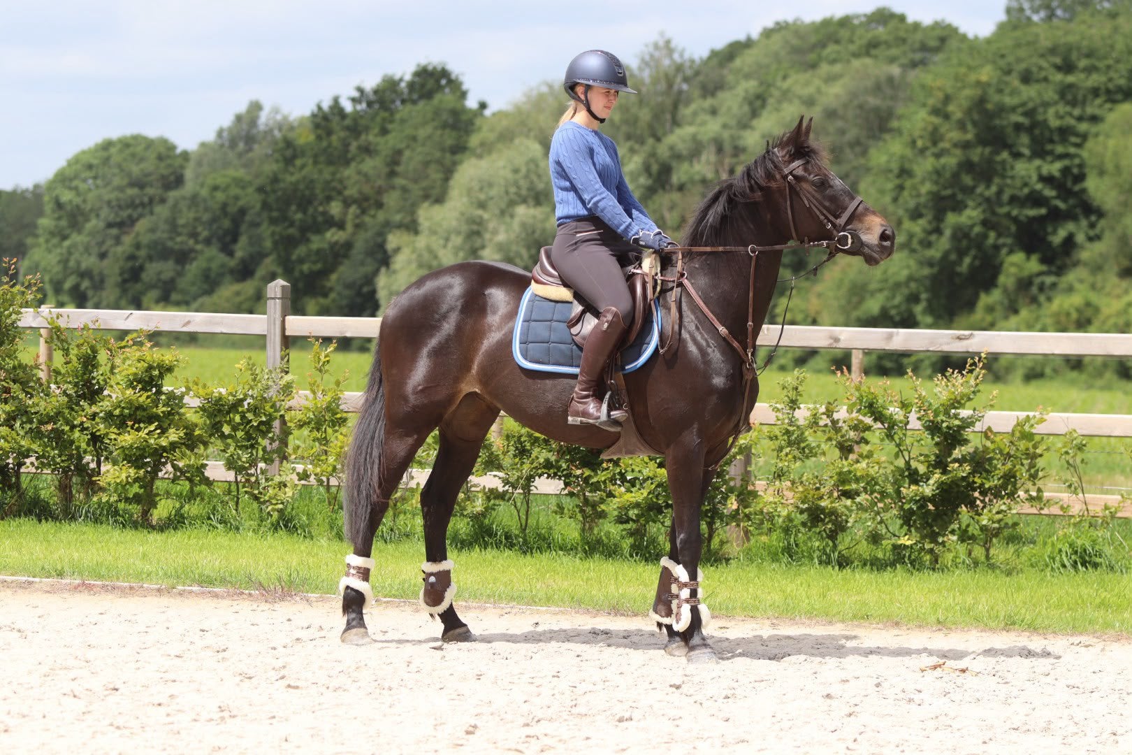 Mooie zwarte merrie van 7 jaar – 1m60, Dieren en Toebehoren, Pony's, Zadelmak, 3 tot 6 jaar, Gechipt, Recreatiepony