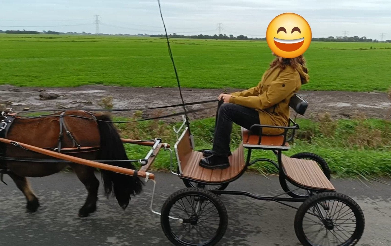 SUPER LEUK PONYKAR, met tuigje, Gebruikt, Overige typen, Pony