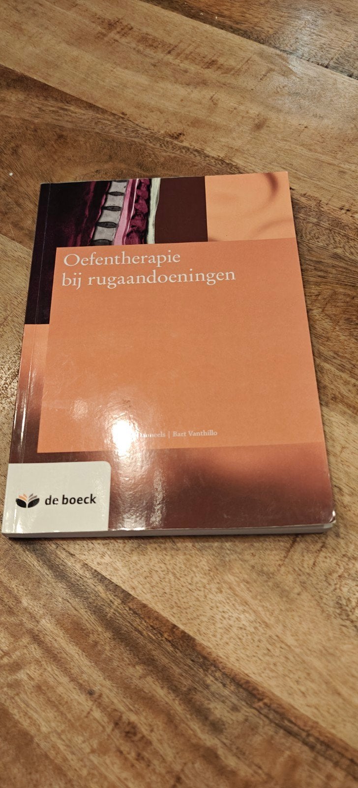 Oefentherapie bij rugaandoeningen - Zo goed als nieuw, Boeken, Studieboeken en Cursussen, Zo goed als nieuw, Beta, D. Danneels, B. Vanthillo