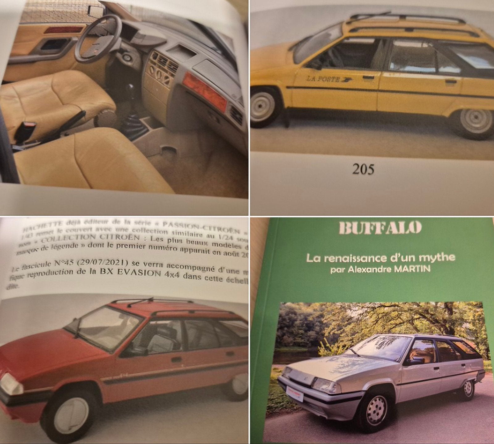 dik boek Citroën BX Buffalo Break Heuliez volleder stationca, Ophalen of Verzenden, Zo goed als nieuw, Citroën