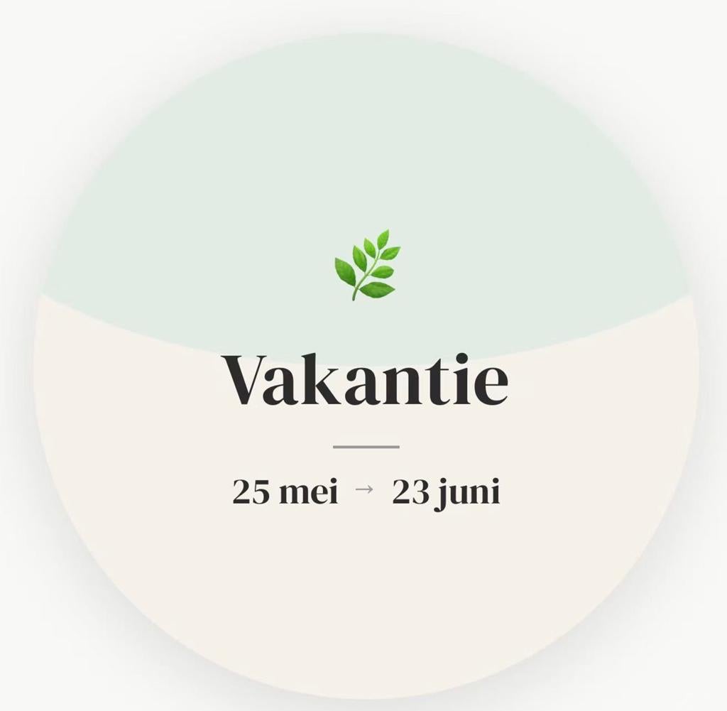Chinese full lichaam thuis massage in Den Haag 0655720182, Diensten en Vakmensen
