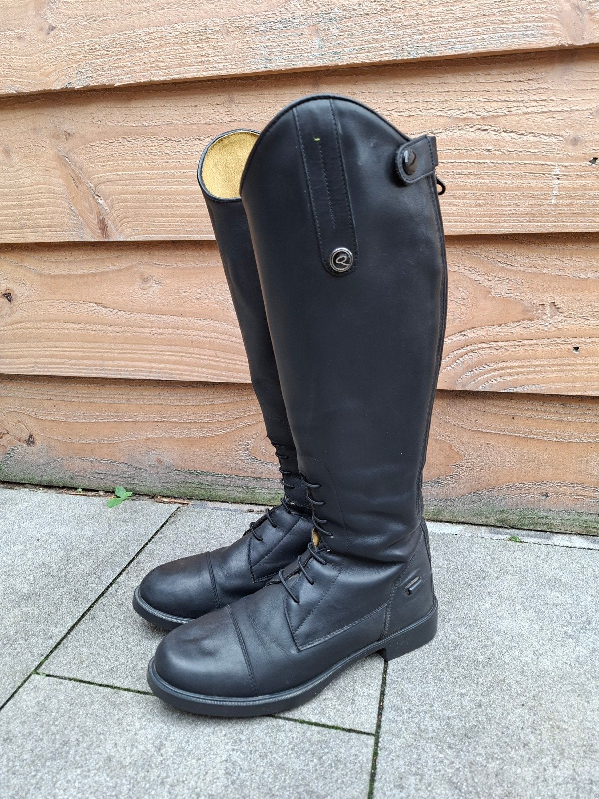 Paardrijlaarzen QHP dames maat 38W zwart
 
 
 
 
 
Paardri, Dieren en Toebehoren, Paardrijkleding, Dressuur, Ophalen of Verzenden