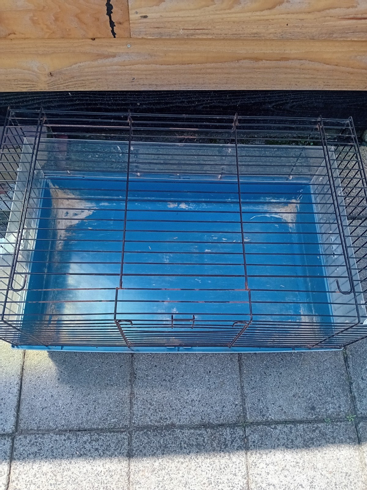 Cavia/konijnen kooi, Dieren en Toebehoren, Knaagdieren en Konijnen | Hokken en Kooien, Kooi, 75 tot 110 cm, Cavia, Ophalen