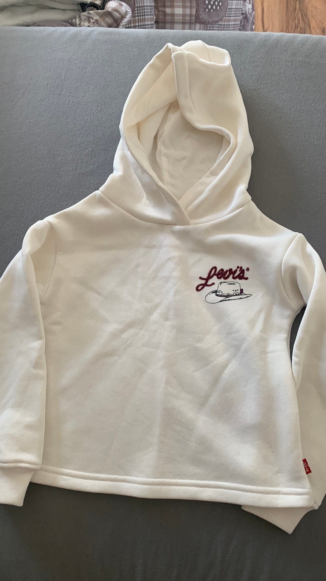 Nieuw !  Hoody van Levi’s, Ophalen of Verzenden, Zo goed als nieuw, Jongen of Meisje, Trui of Vest